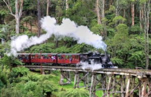 Puffing Billy: Melbourne day trip