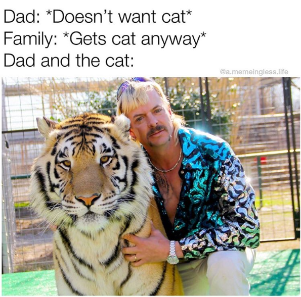 Joe exotic tiger king family cat meme