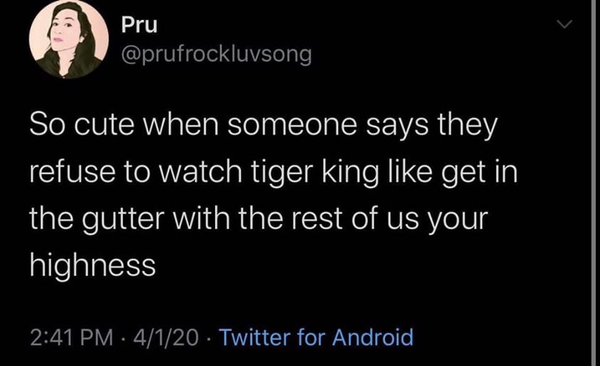 PEOPLE WHO REFUSE TO WATCH TIGER KING MEME