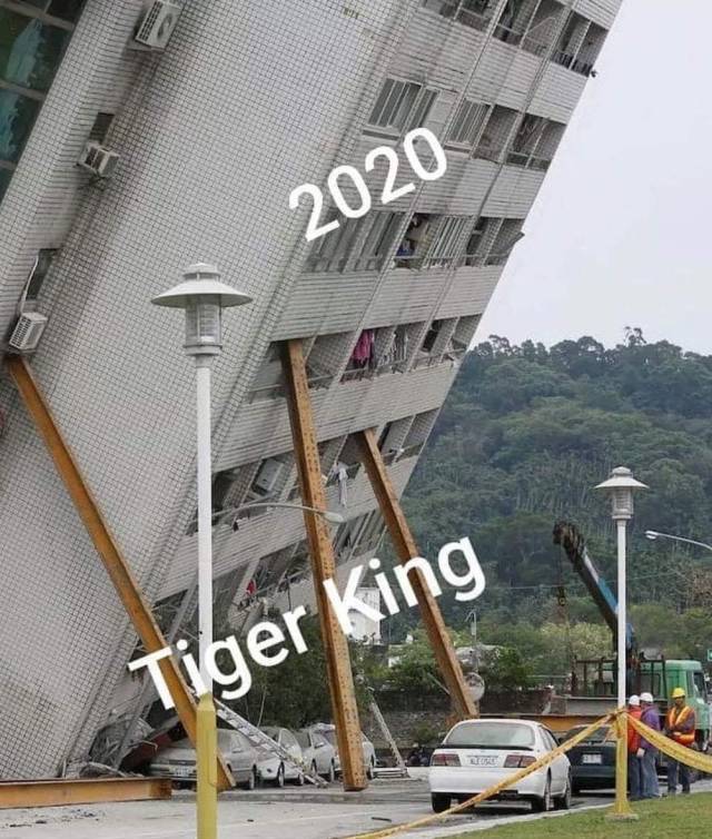 Tiger King holding up 2020