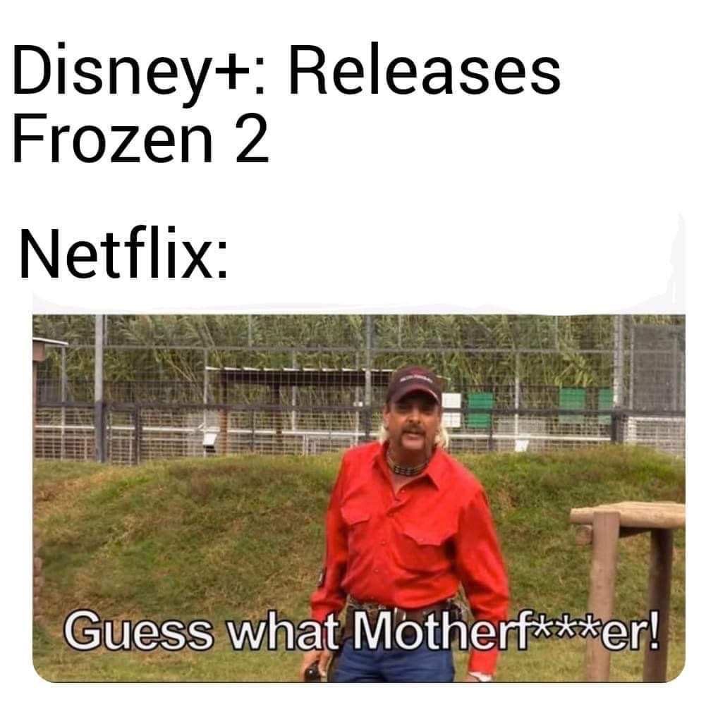 disney+ releases frozen 2 netflix tiger king