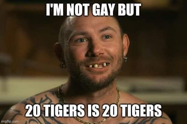 i'm not gay but 20 tigers is 20 tigers