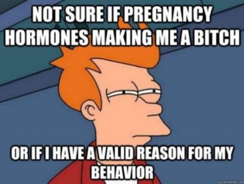 pregnancy hormones meme