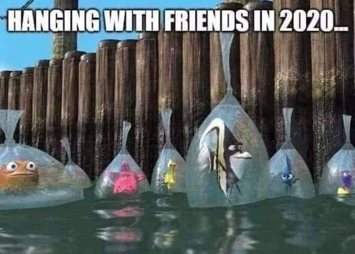 finding nemo fish in bags disney meme pixar quarantine covid 2020