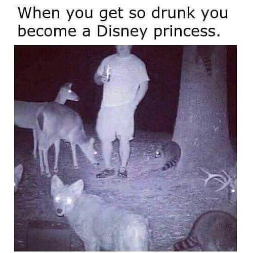 drunk disney princess wild animals bambi snow white meme 