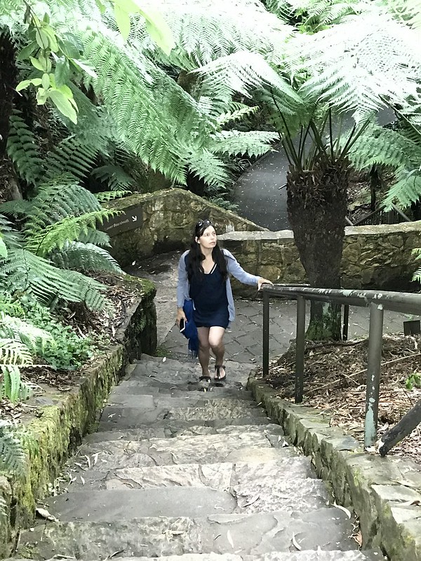 Australian National Botanic Gardens canberra