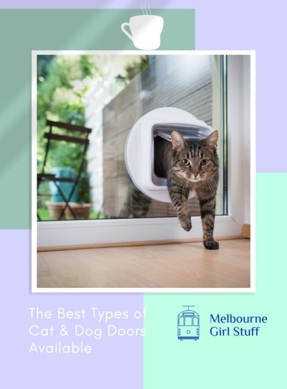 The Best Types Of Cat And Dog Doors Available In Australia Melbourne the-best-types-of-cat-and-dog-doors-available-in-australia-melbourne