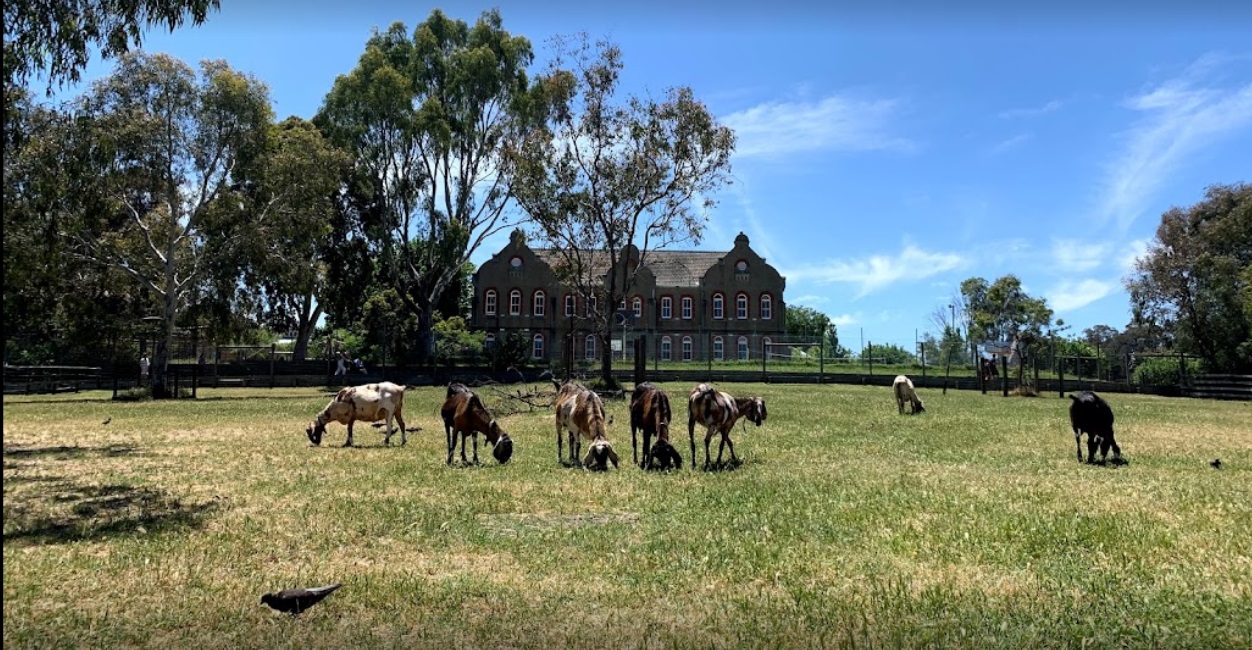 Collingwood Childrens Farm building