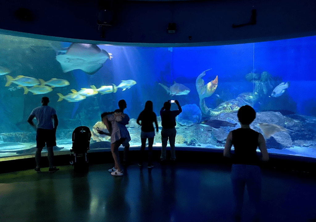 SEA LIFE Melbourne Aquarium