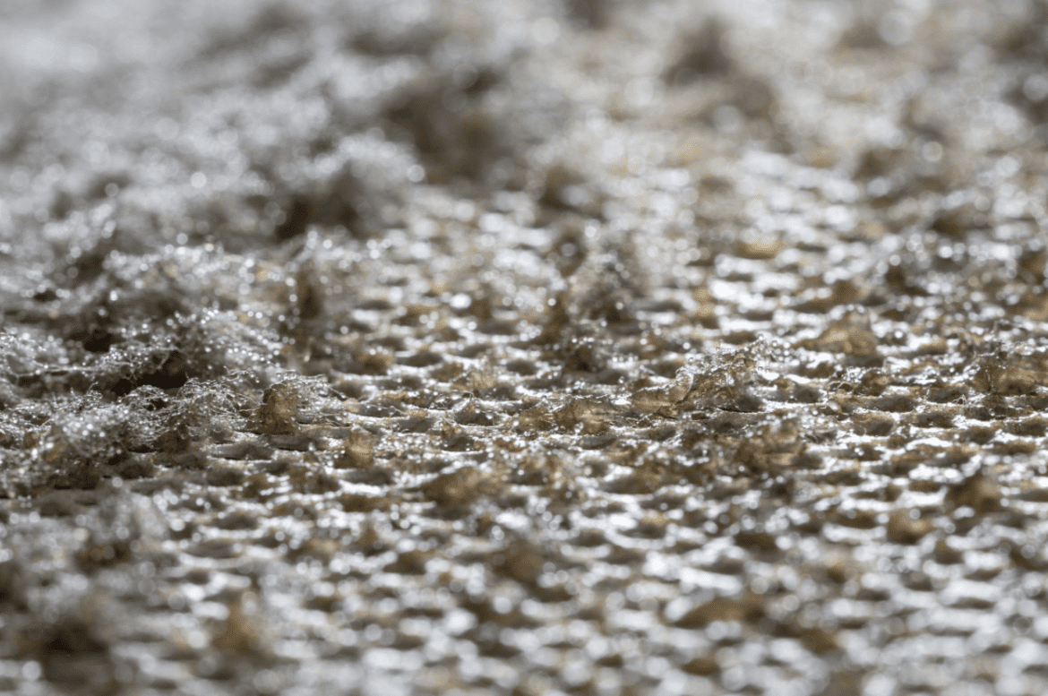 Soaked carpet after water damage.