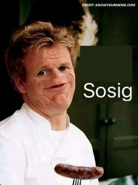 Sosig gordon ramsey 