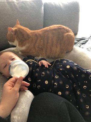 cat being nice to baby