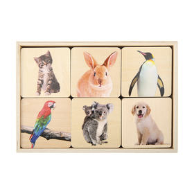kmart animal flash cards and wooden memory match 