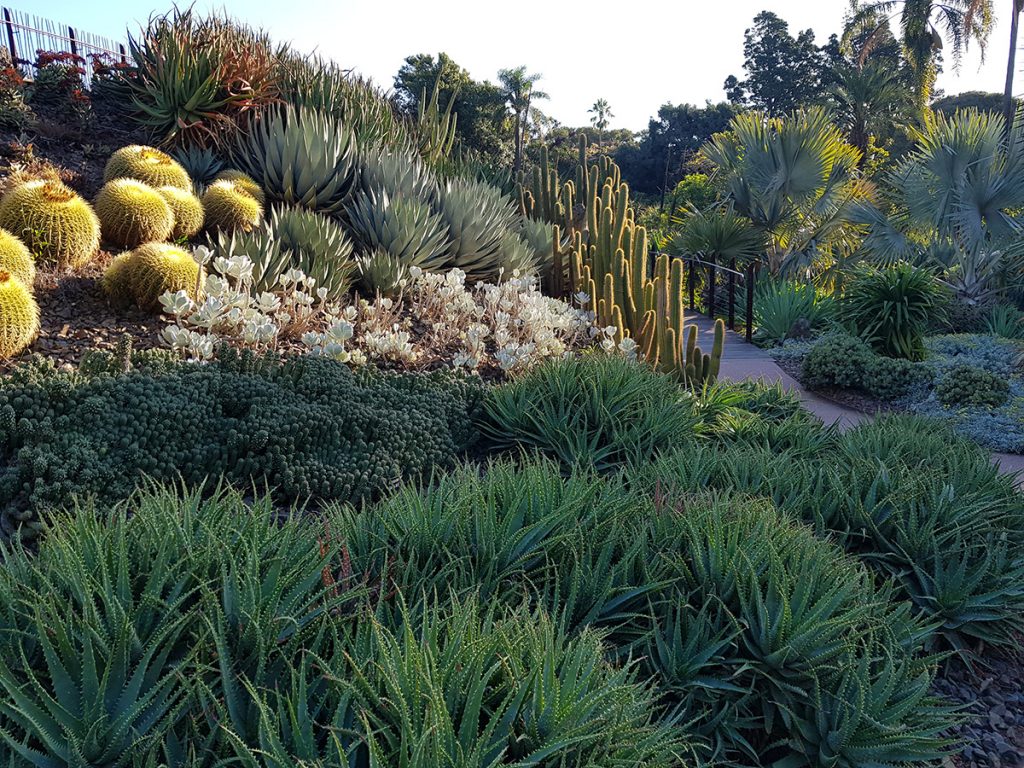 royal botanic gardens melbourne gate c