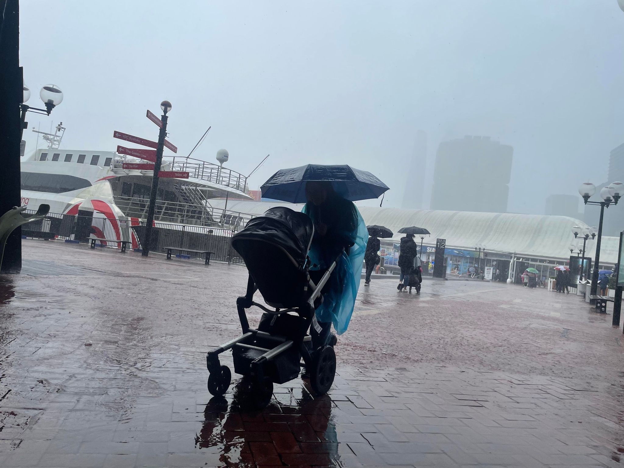 sea life sydney rain