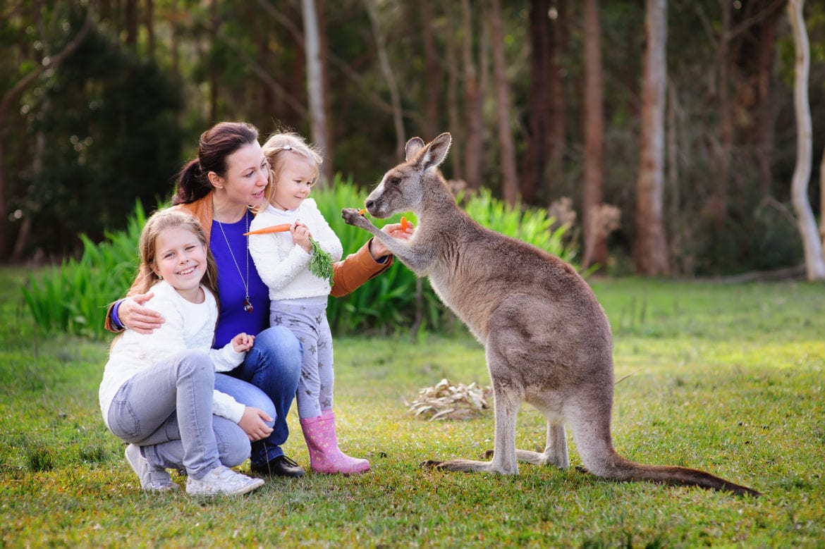 Places To Go In and around Melbourne With Kids